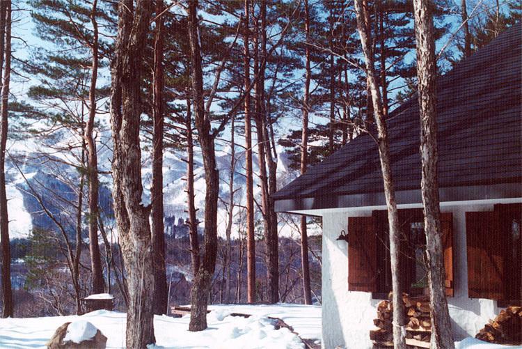 Earl Grey Hotell Hakuba Eksteriør bilde